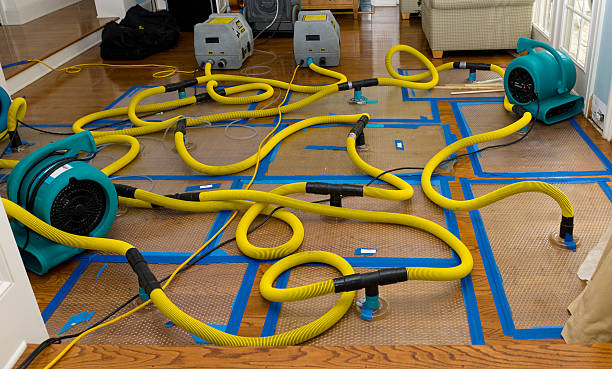 Professional Sewage Cleanup technician working in Sedalia, MO